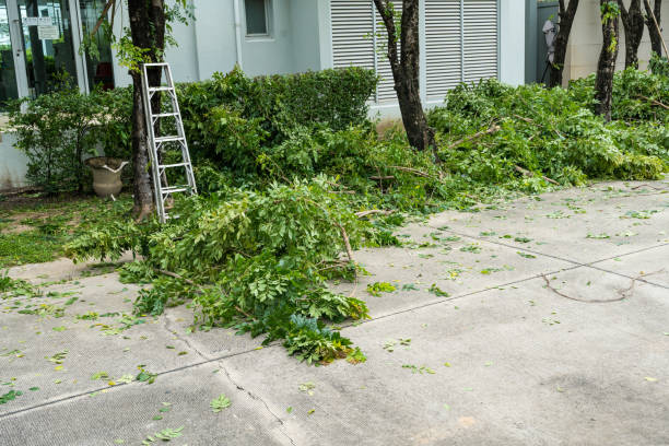 Hope Mills, NC Tree Care  Company